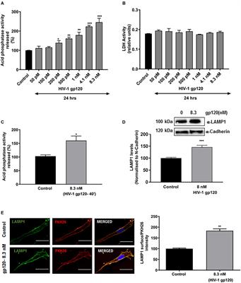 HIV-1 gp120 Promotes Lysosomal Exocytosis in Human Schwann Cells